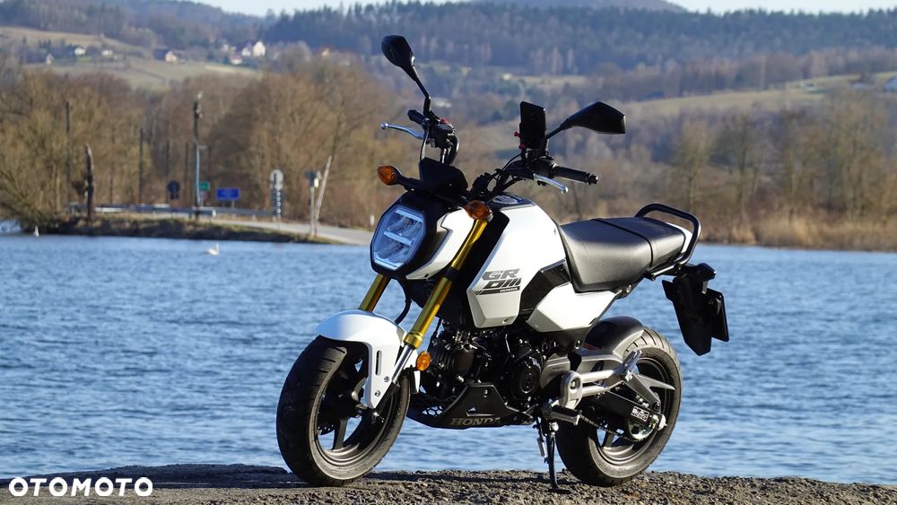 Honda MSX 125 - 1