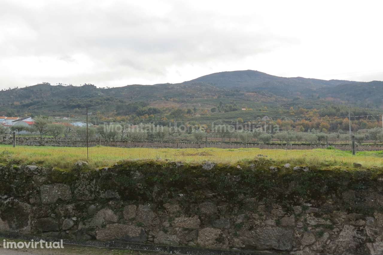 Terreno Para Construção  Venda em Santa Marinha e São Martinho,Seia - Grande imagem: 5/5