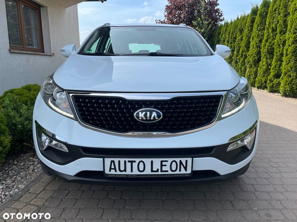 Kia Sportage - 19