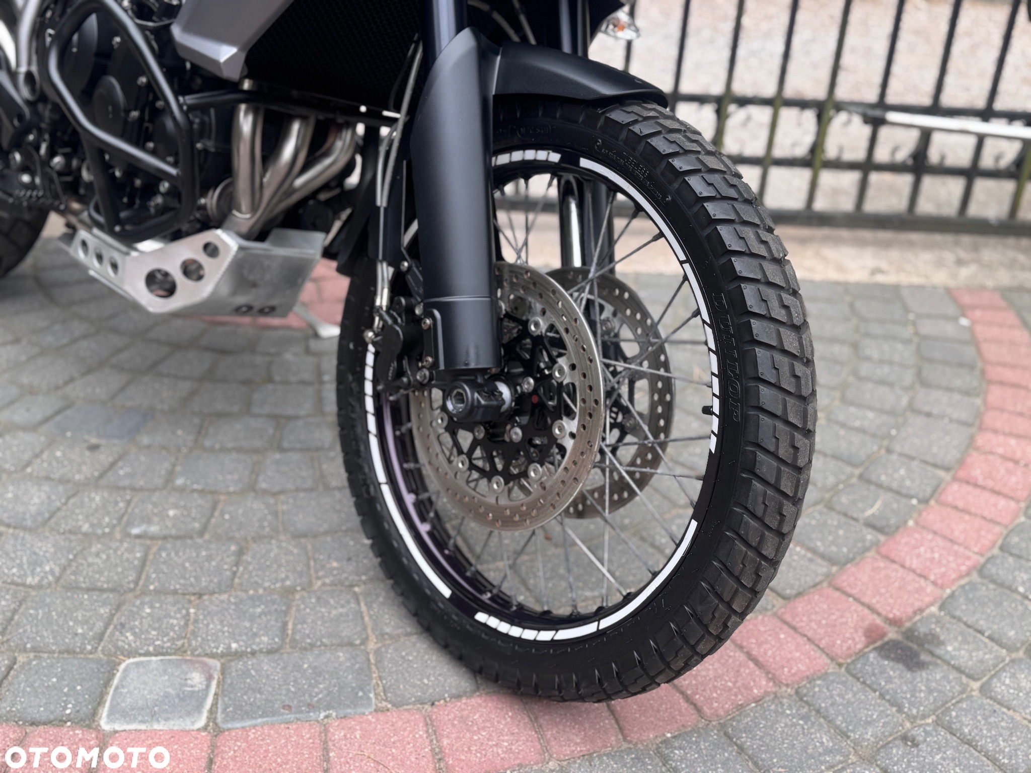 Triumph Tiger - 22