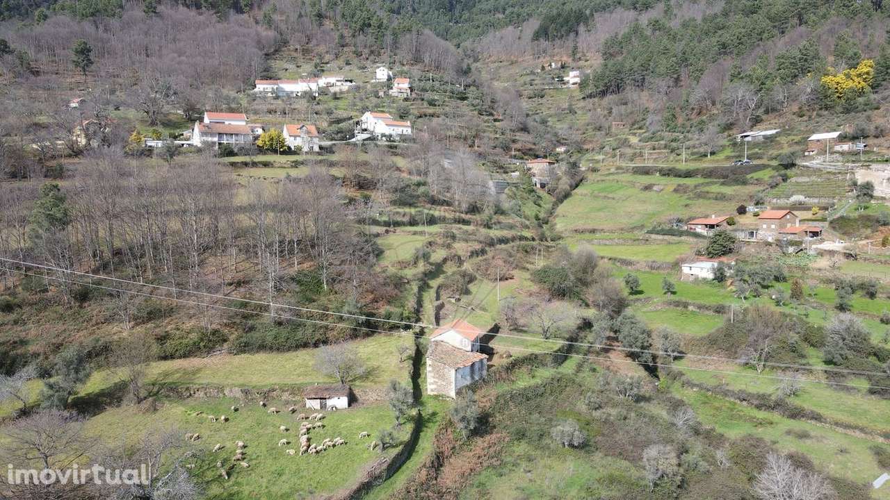 Quinta T4 para venda - Grande imagem: 2/4