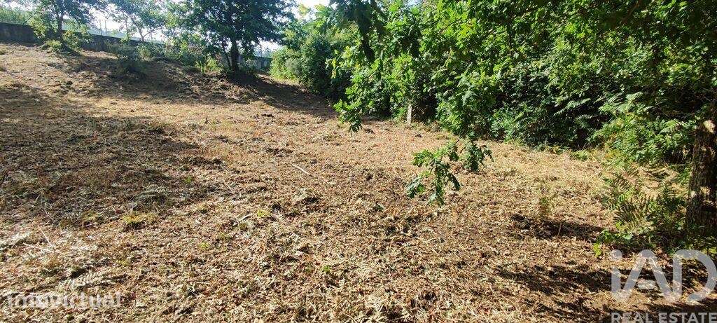 Terreno em Romarigães - Grande imagem: 5/24