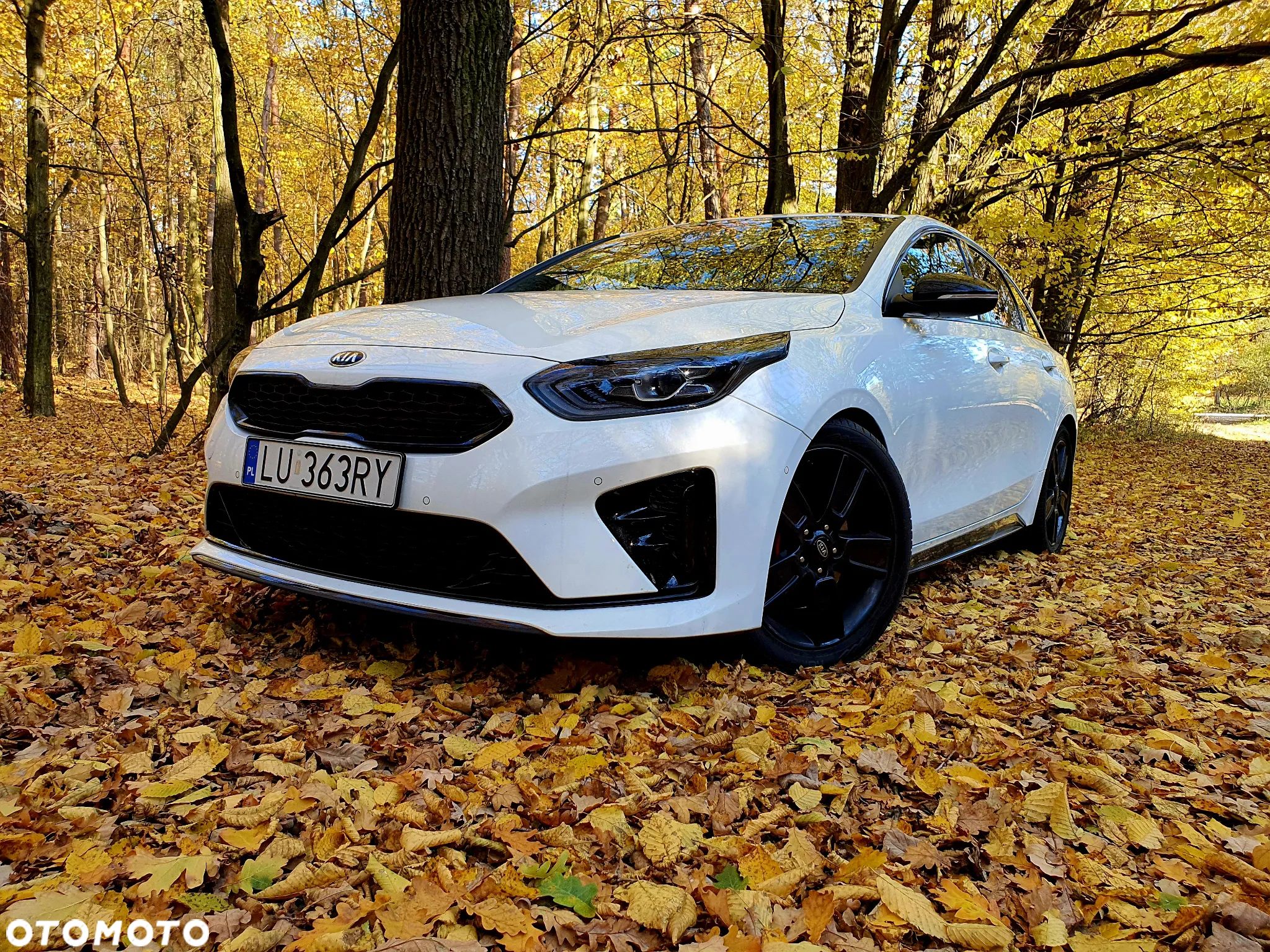 Kia ProCeed 1.6 T-GDI GT DCT - 1