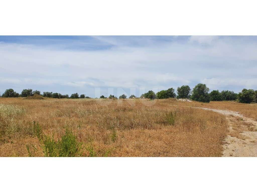 Terreno em Reguengos de Monsaraz - Grande imagem: 3/15