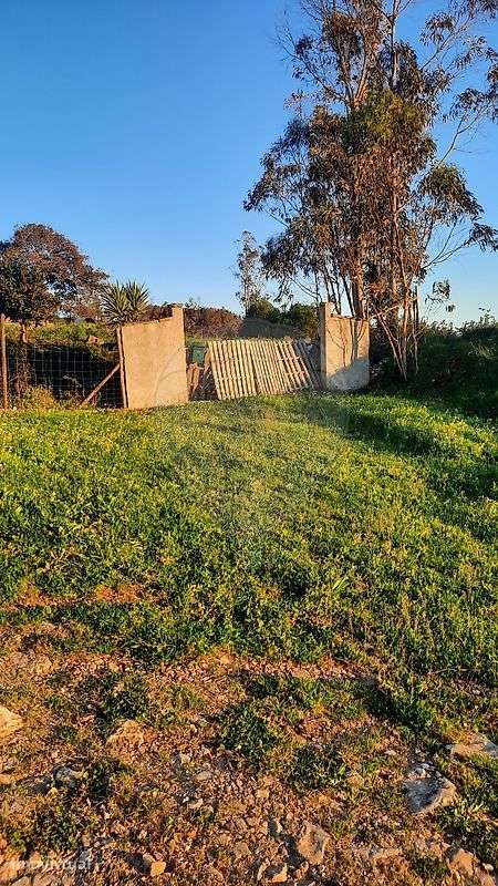 Terreno  para venda - Grande imagem: 3/6