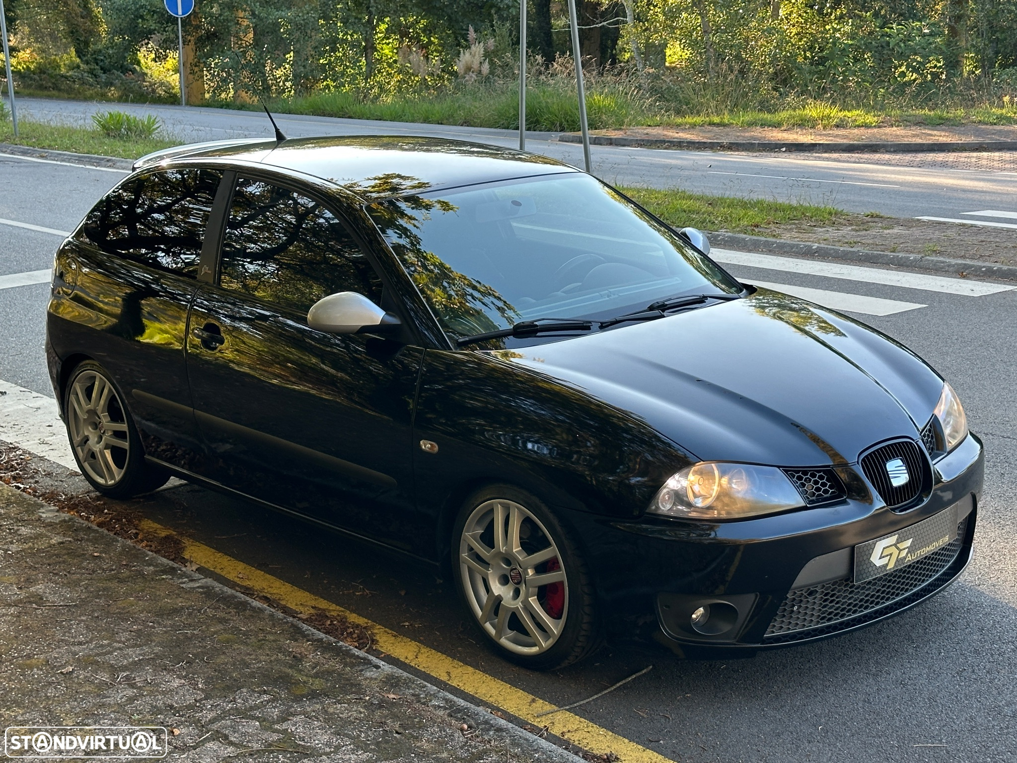 SEAT Ibiza 1.9 TDi Cupra - 2