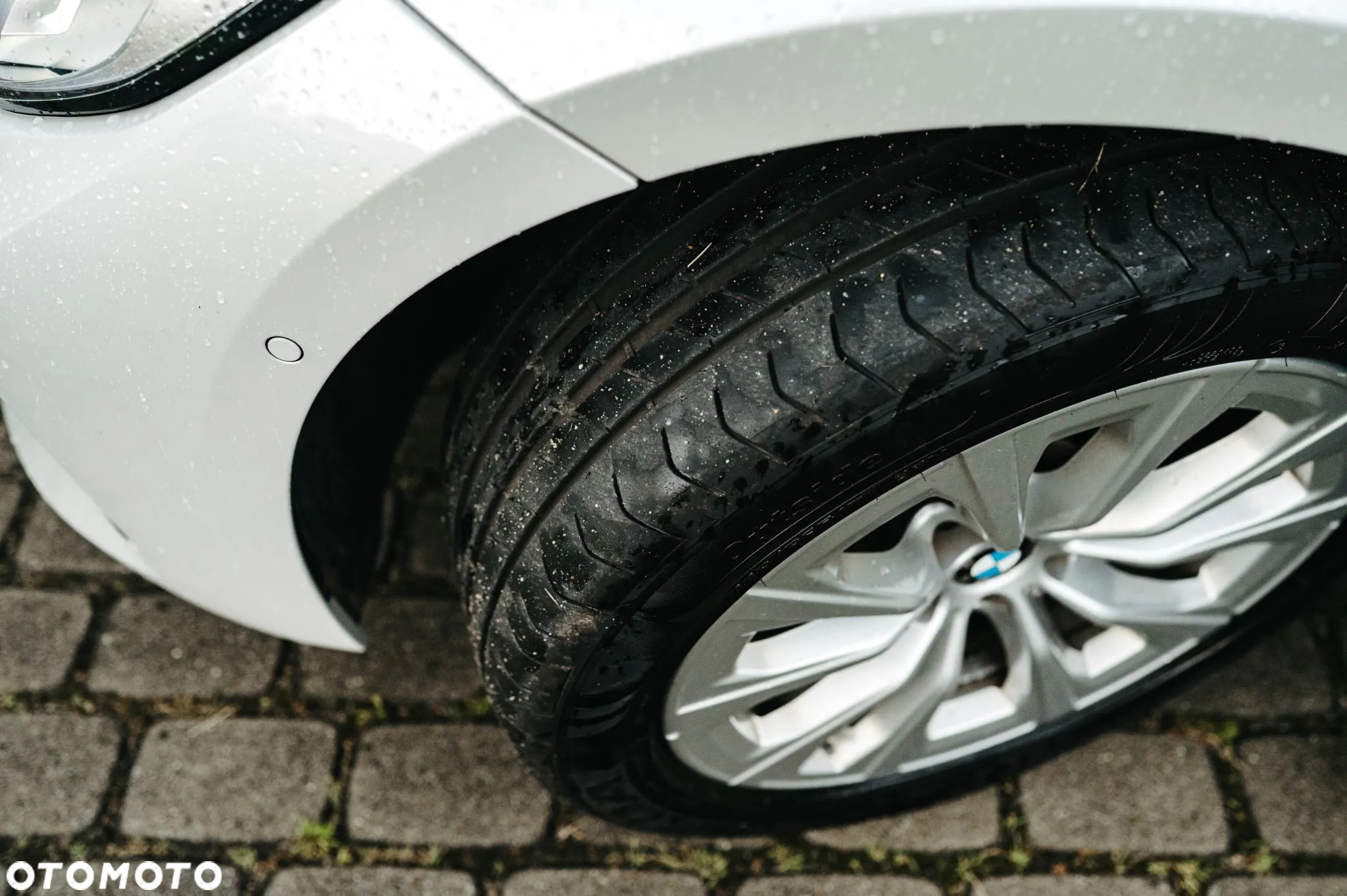 BMW Seria 3 318d Advantage - 32