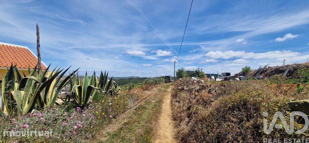 Terreno Agrícola em Santo Isidoro - Grande imagem: 4/19