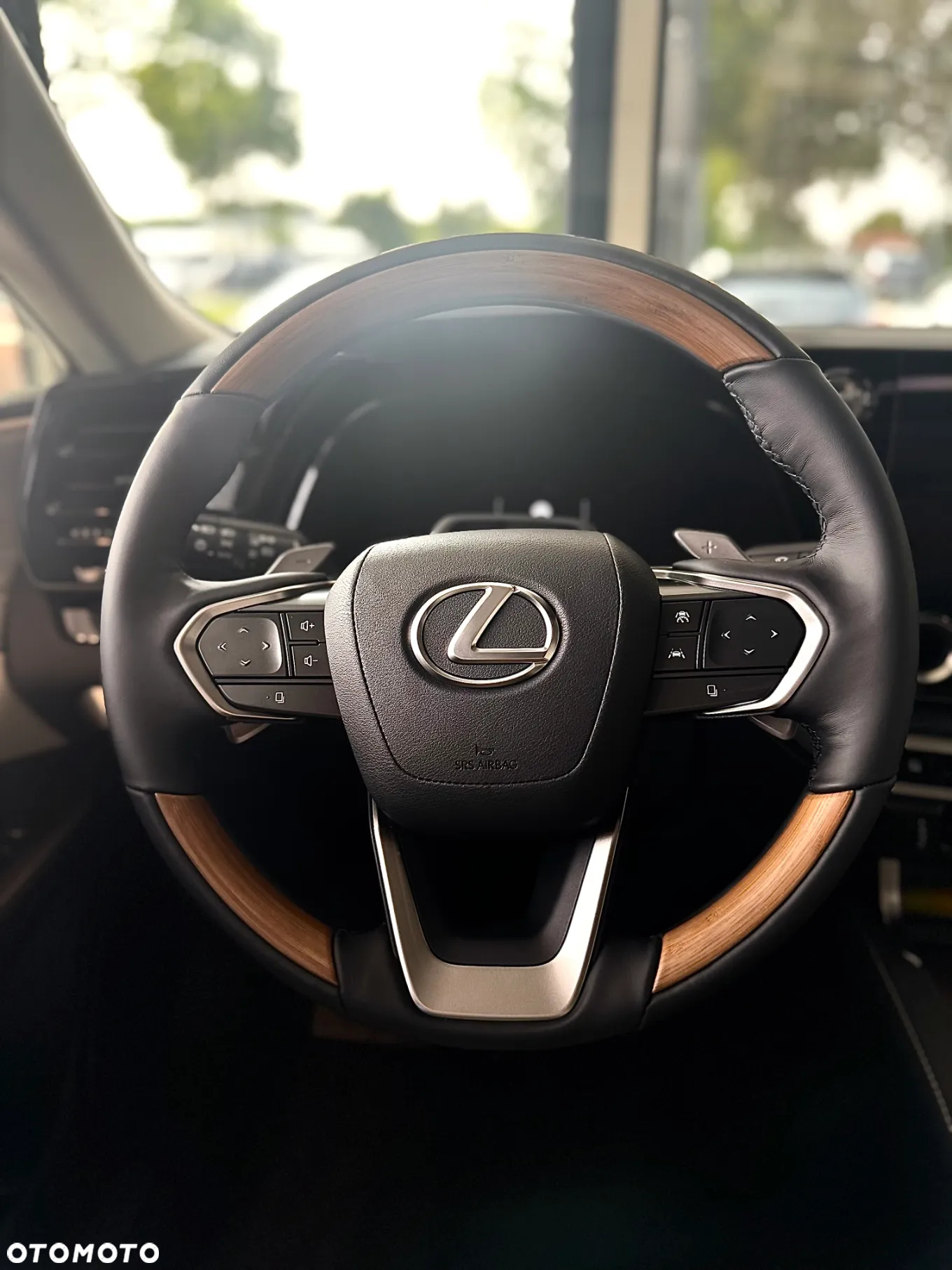 Lexus RX 450h+ Omotenashi - 13