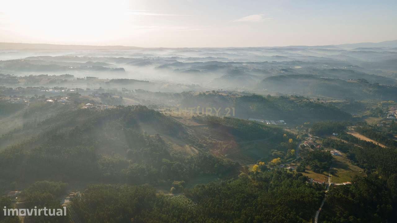 Terreno rústico Salir de Matos - Caldas da Rainha - Grande imagem: 5/6