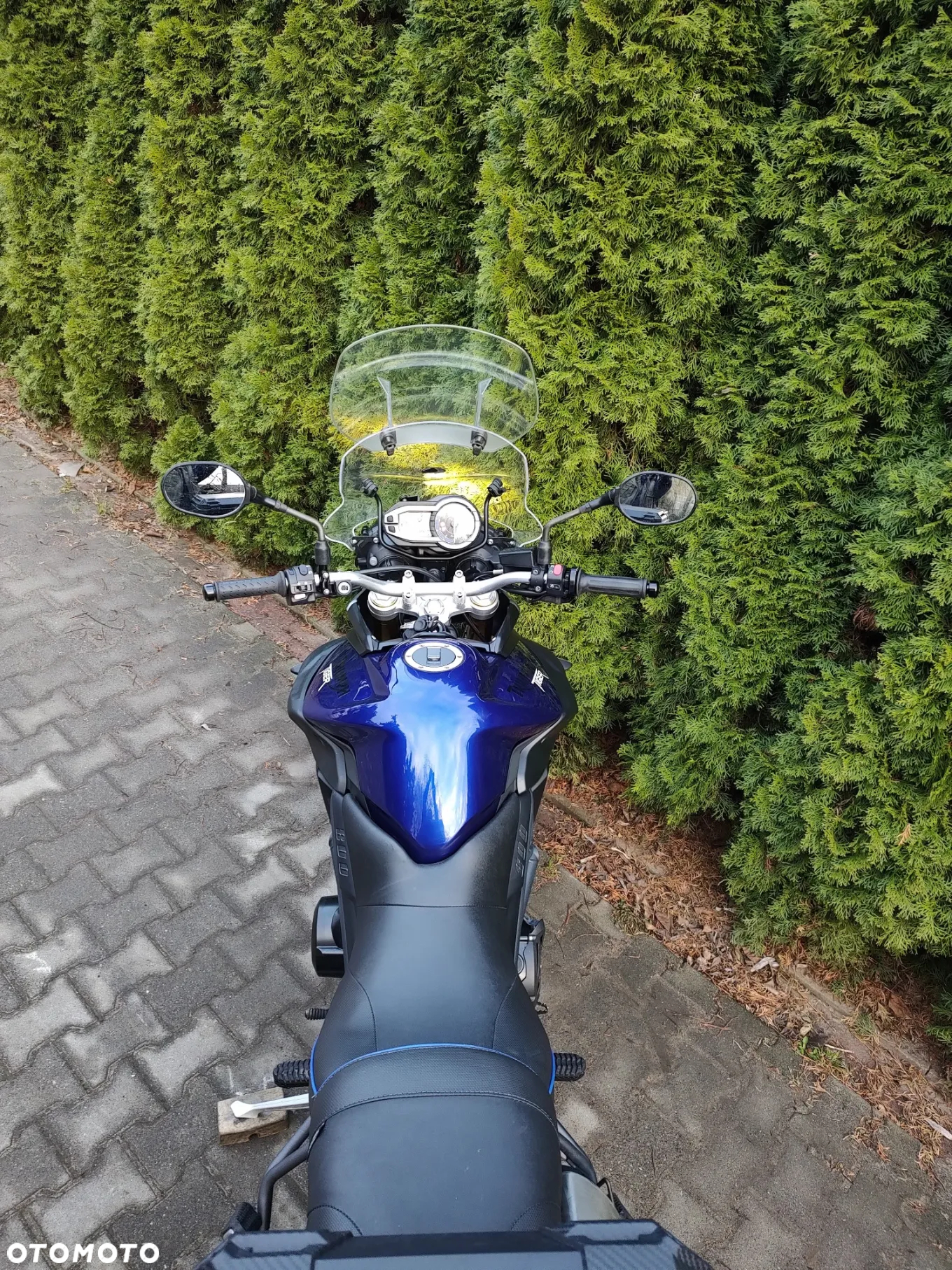 Triumph Tiger - 15