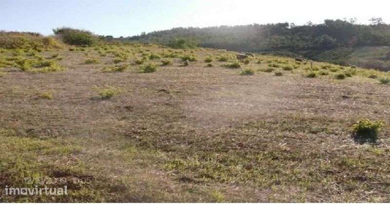 Arrendo terreno na Aboboreira - Grande imagem: 3/3