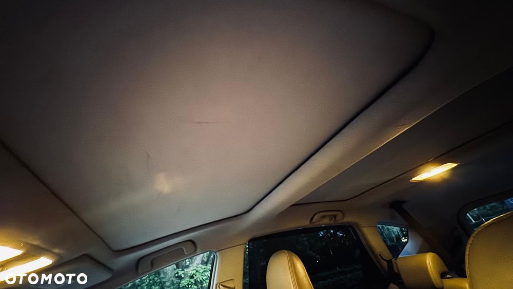 Toyota Prius+ Hybrid 135 Prestige - 14