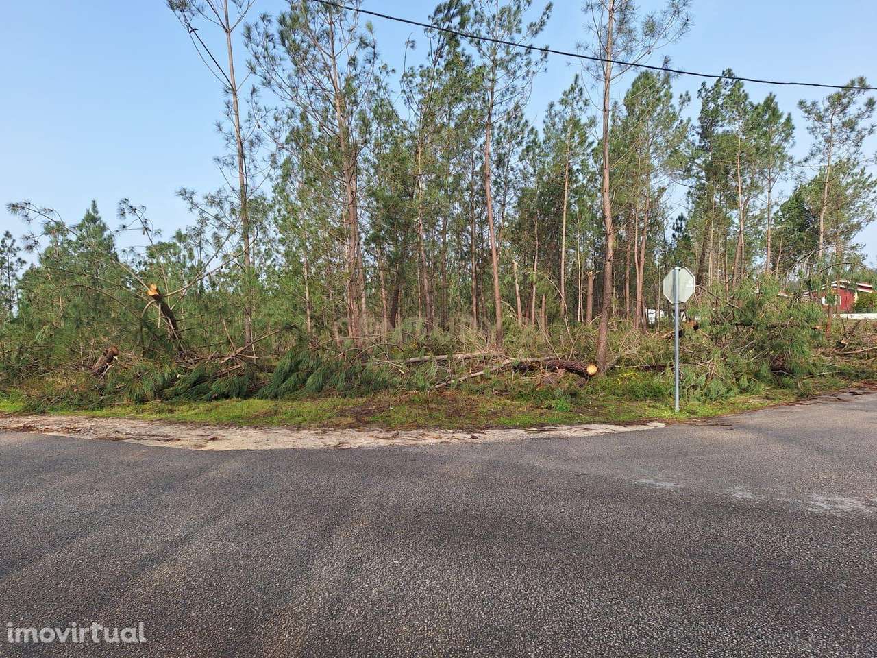 Lote de Terreno de 1.440m2 na freguesia de Pataias para construção! - Grande imagem: 4/14
