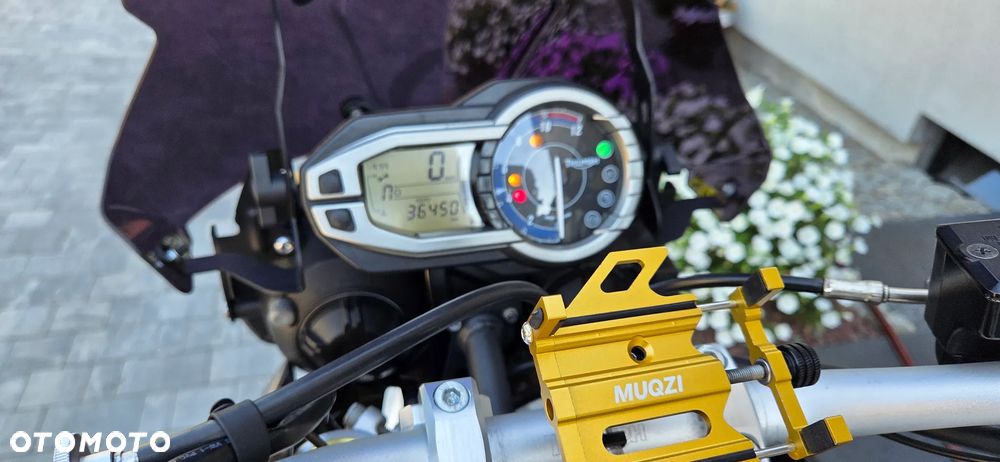 Triumph Tiger - 14