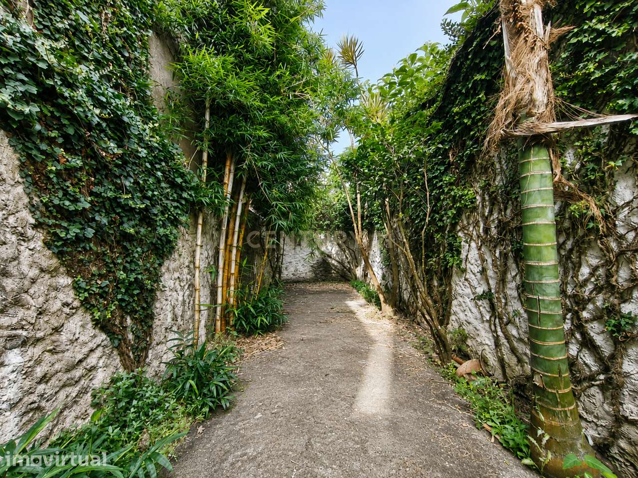 Residência Histórica de 8 Quartos no Centro de Ponta Delgada | Jardins - Grande imagem: 4/60
