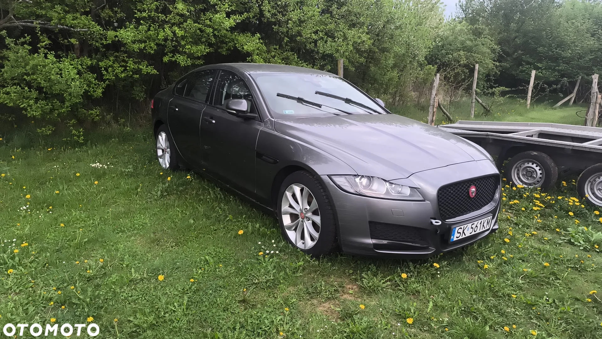 Jaguar XF 2.0 i4D Prestige - 3