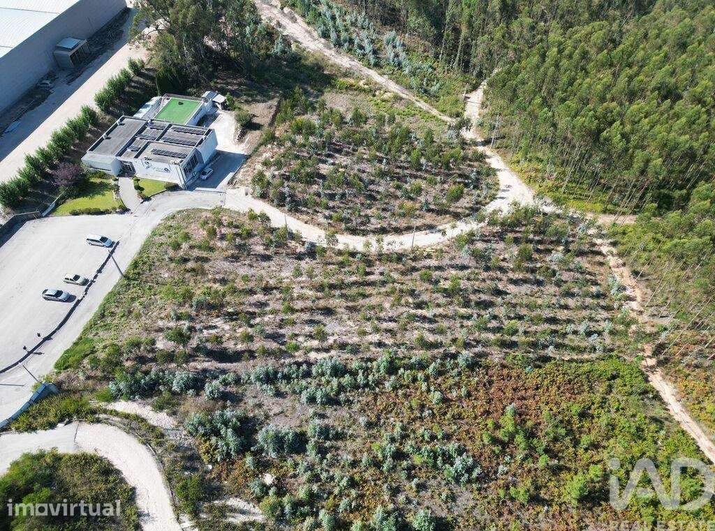Terreno em Pedreiras - Grande imagem: 4/14