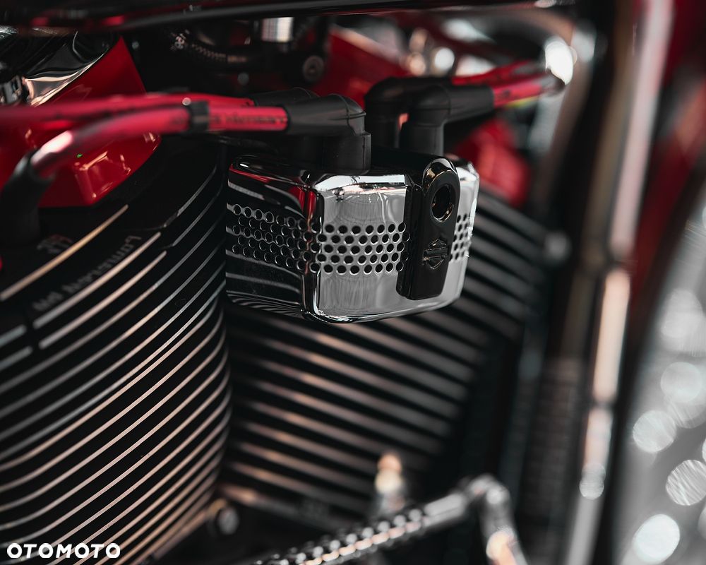 Harley-Davidson Softail Custom - 10