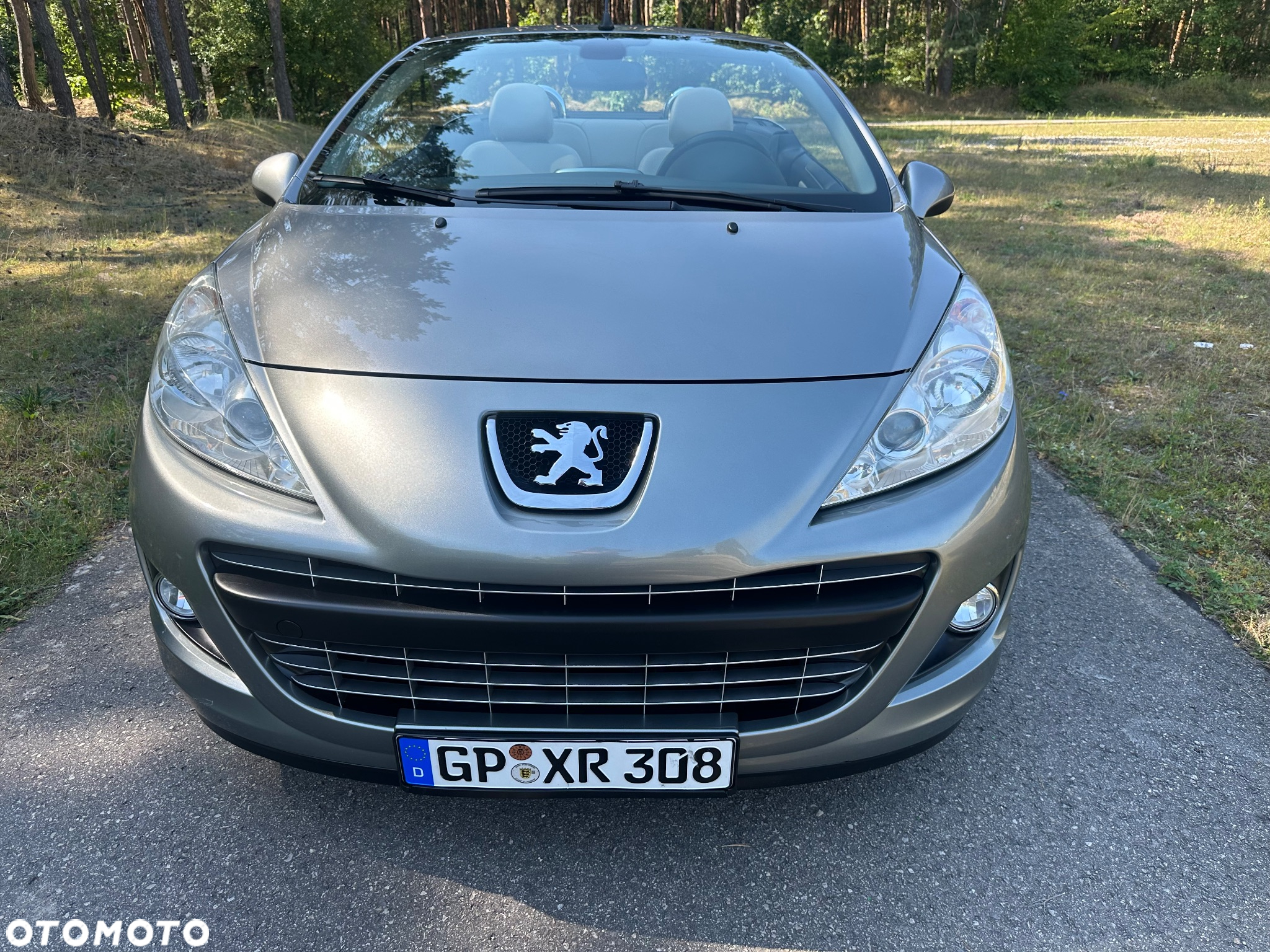 Peugeot 207 120 Premium - 10