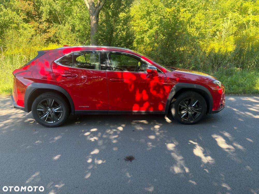 Lexus UX - 14