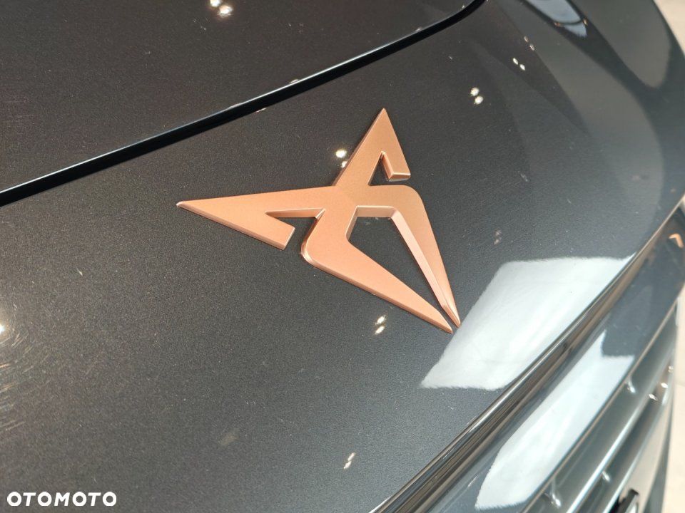 Cupra Terramar - 5