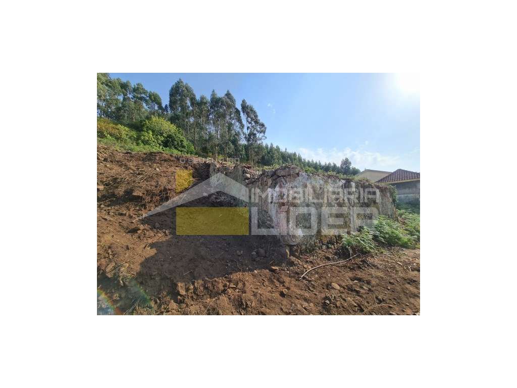 Ruína inserida em terreno urbano com 110m +2 parcelas de terreno Rú... - Grande imagem: 4/25