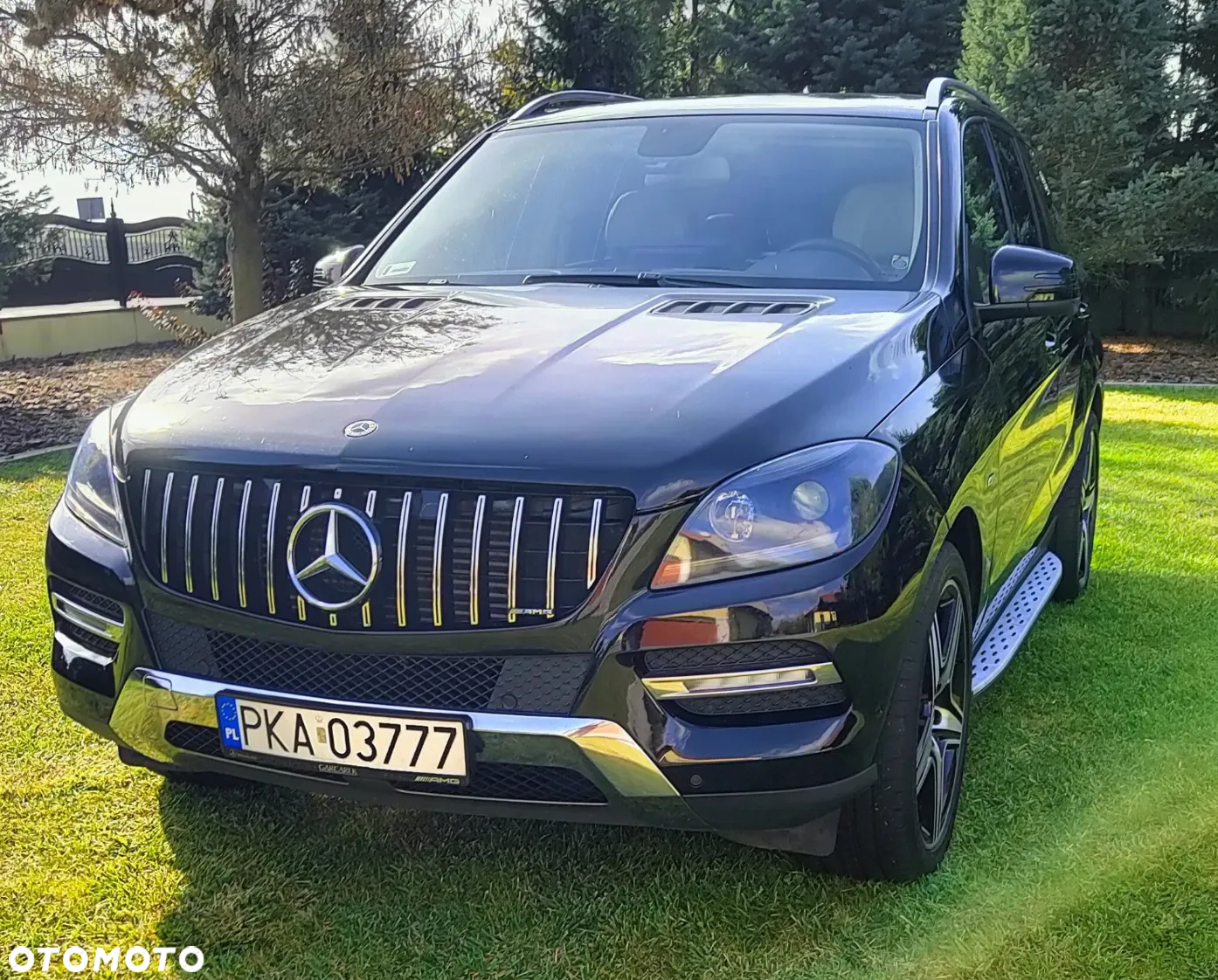 Mercedes-Benz ML 250 BlueTec 4-Matic - 13