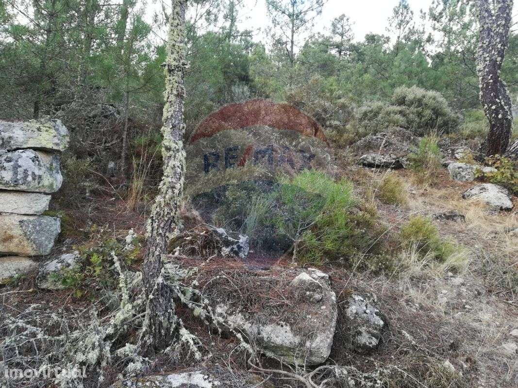 Terreno  para venda - Grande imagem: 2/5