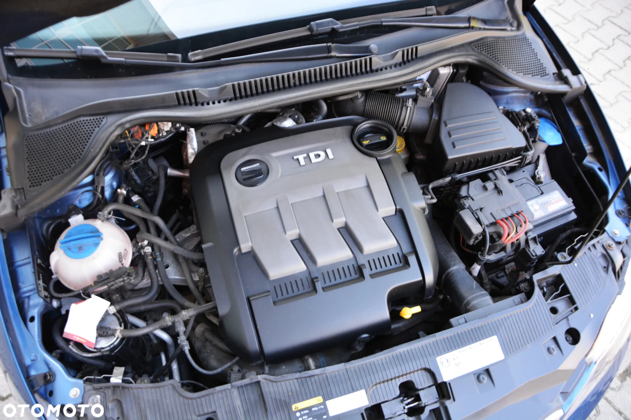 Seat Ibiza SC 1.2 TDI CR Ecomotive Reference 4YOU - 10
