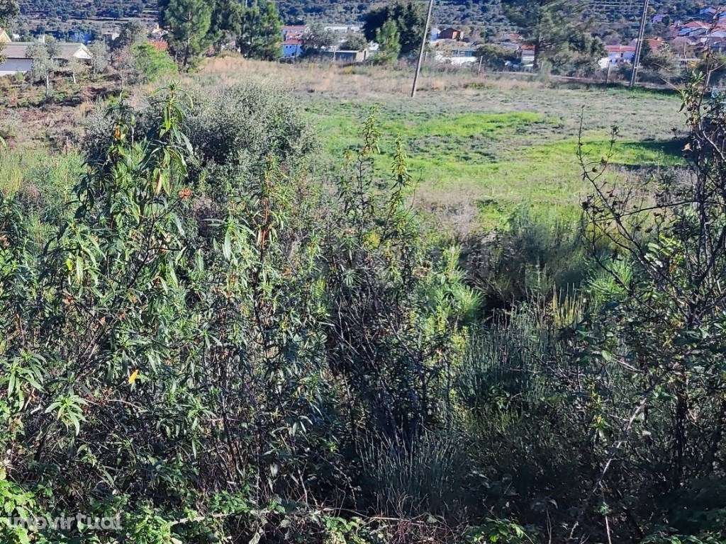 Terreno urbano, localizado na vila de São Vicente da beira que poss... - Grande imagem: 4/12