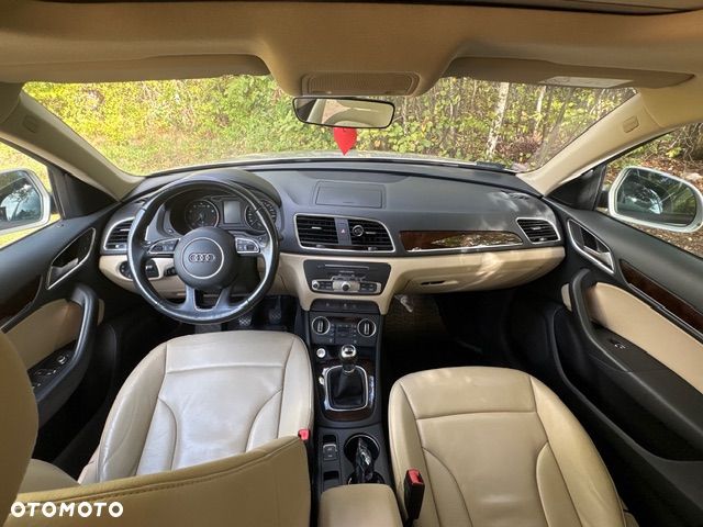 Audi Q3 - 19