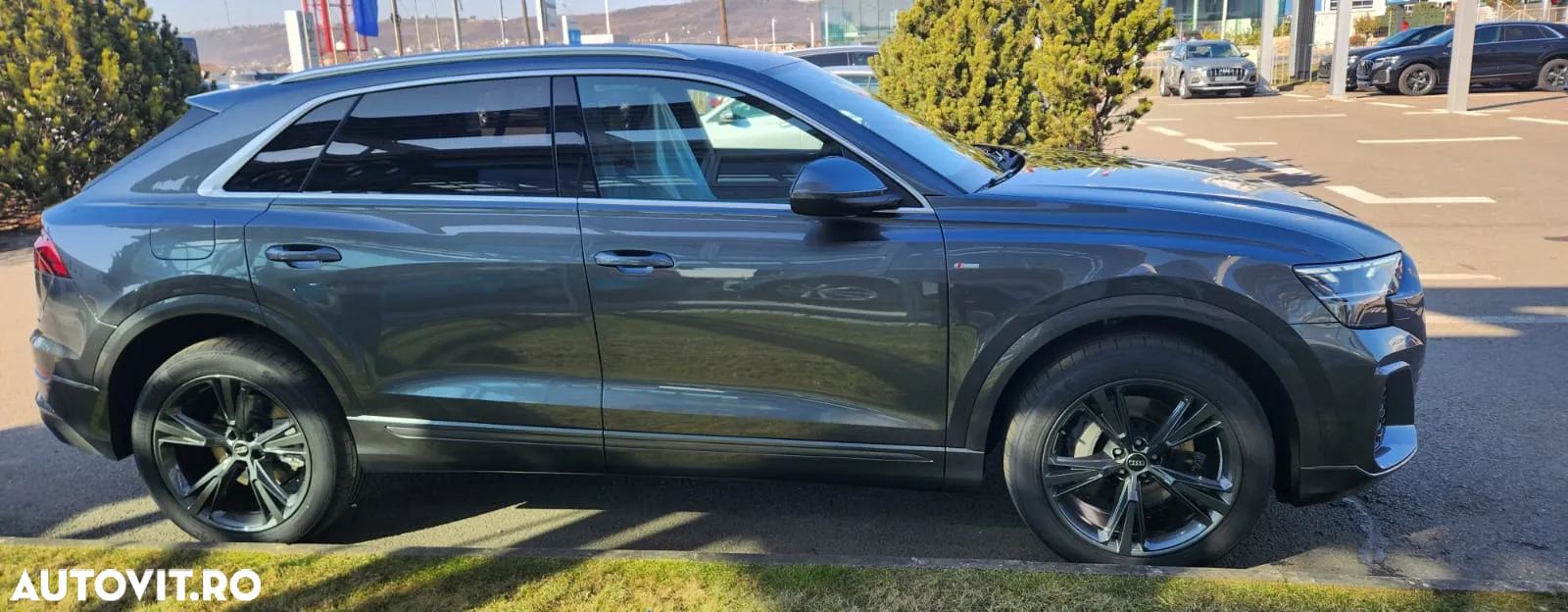 Audi Q8 3.0 50 TDI quattro Tiptronic MHEV - 12