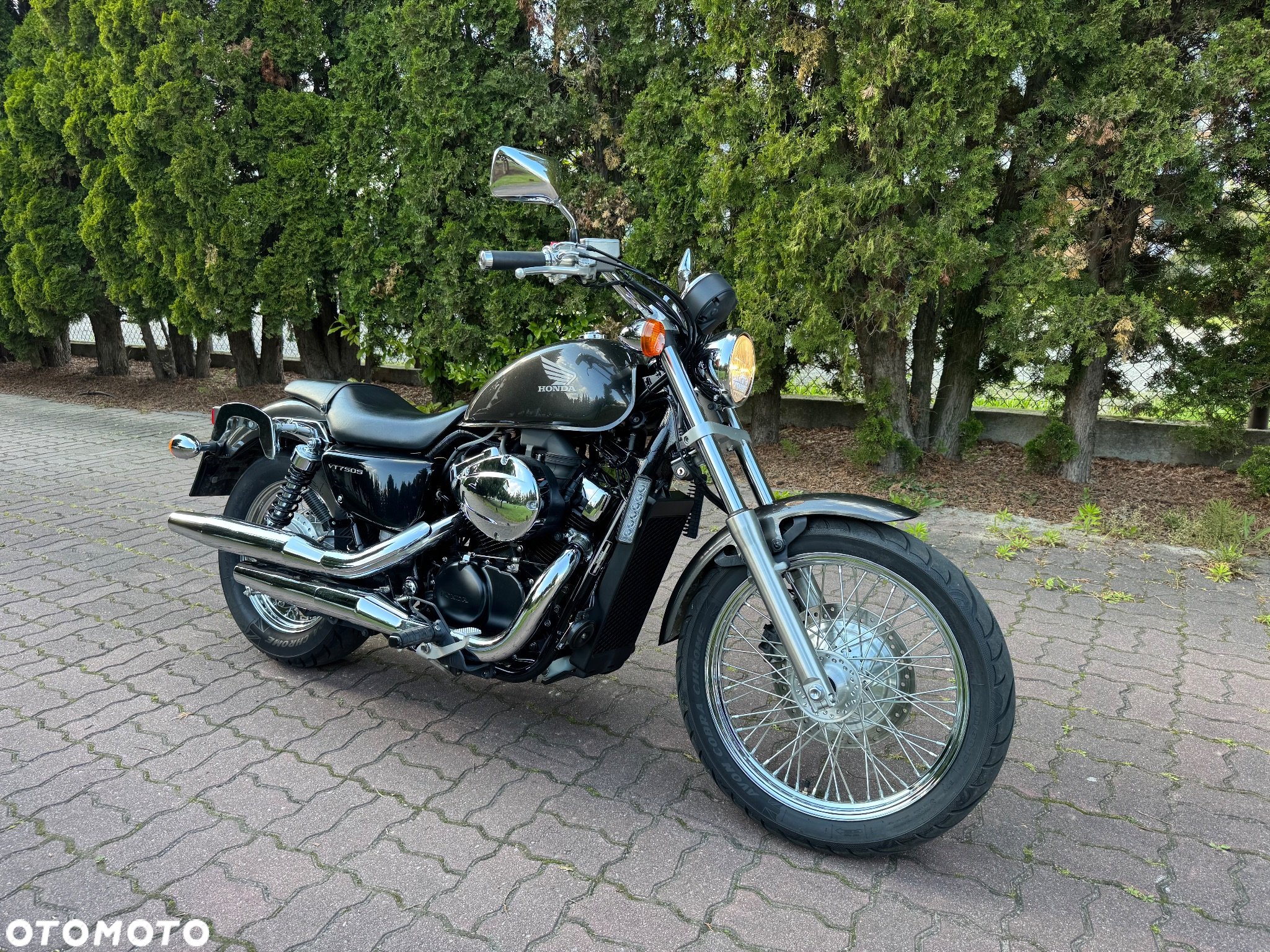 Honda VT - 3