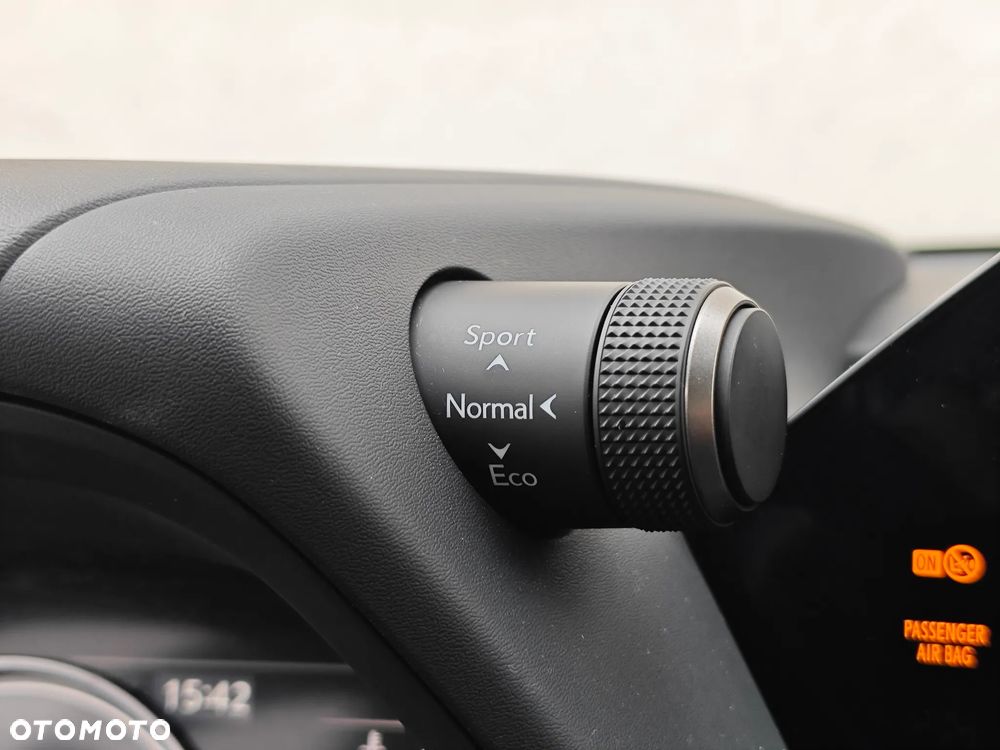 Lexus UX 250h GPF F Sport Design+ 2WD - 24