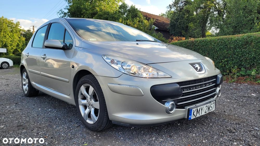 Peugeot 307 1.6 HDi - 12