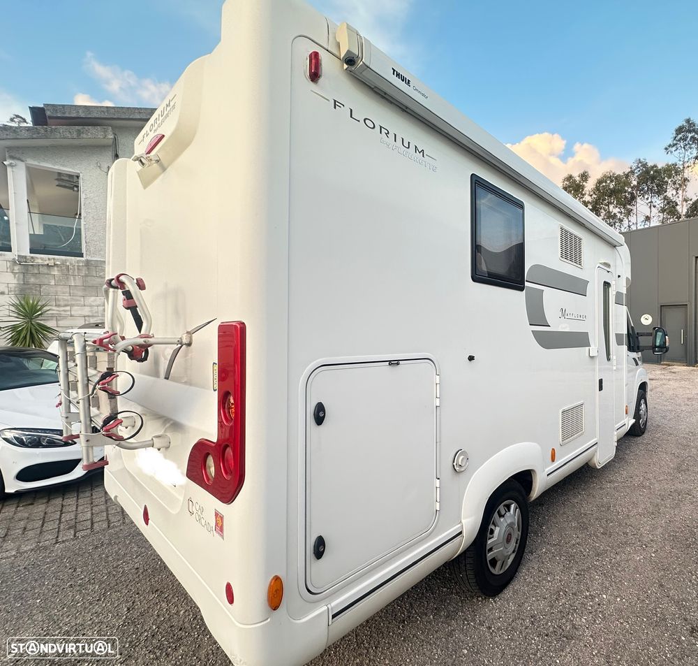 Fleurette Migrateur Mayflower 65LMX - 4