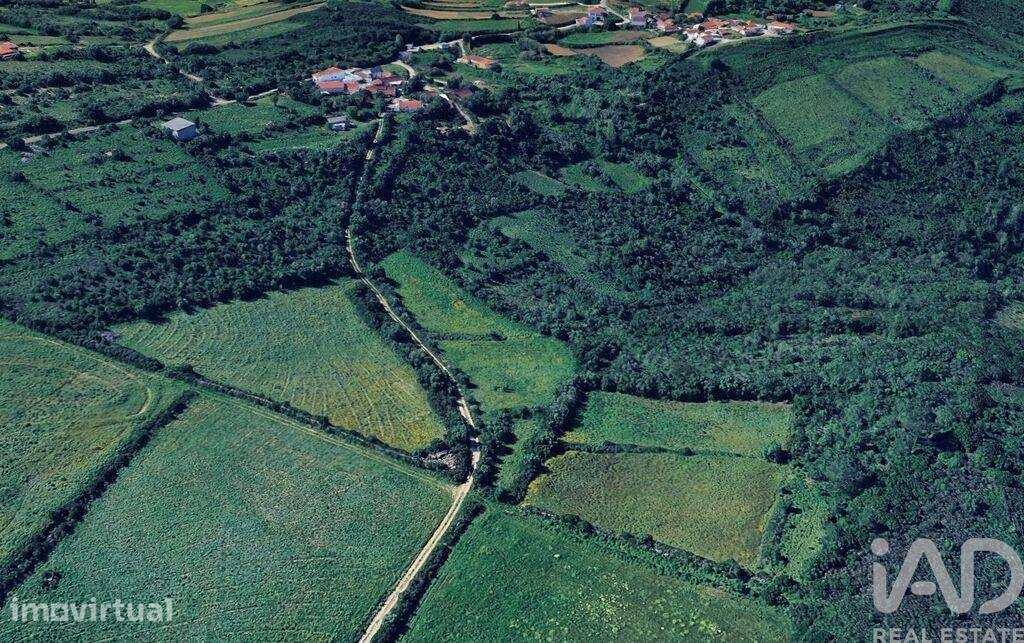 Terreno Agrícola em Igreja Nova e Cheleiros - Grande imagem: 4/11