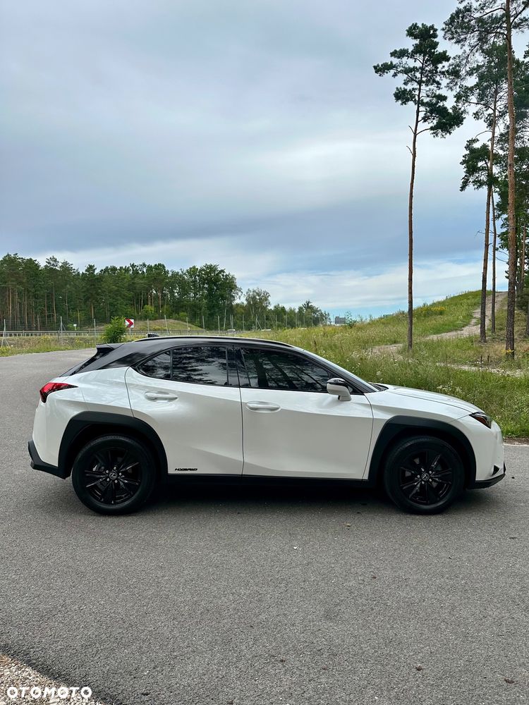 Lexus UX 250h Prestige 2WD - 12