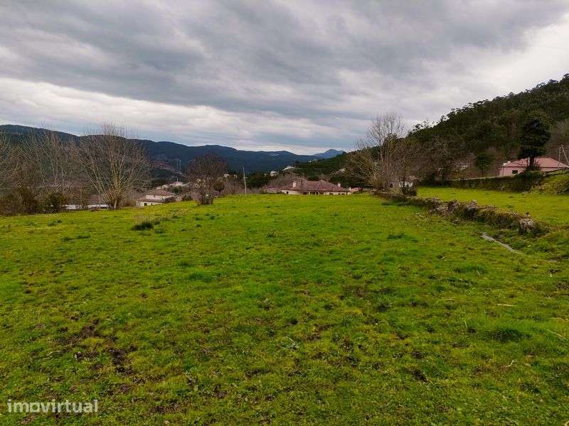 Quinta com 20 000 M2 em Santa Marinha - Ribeira Pena - Grande imagem: 5/12