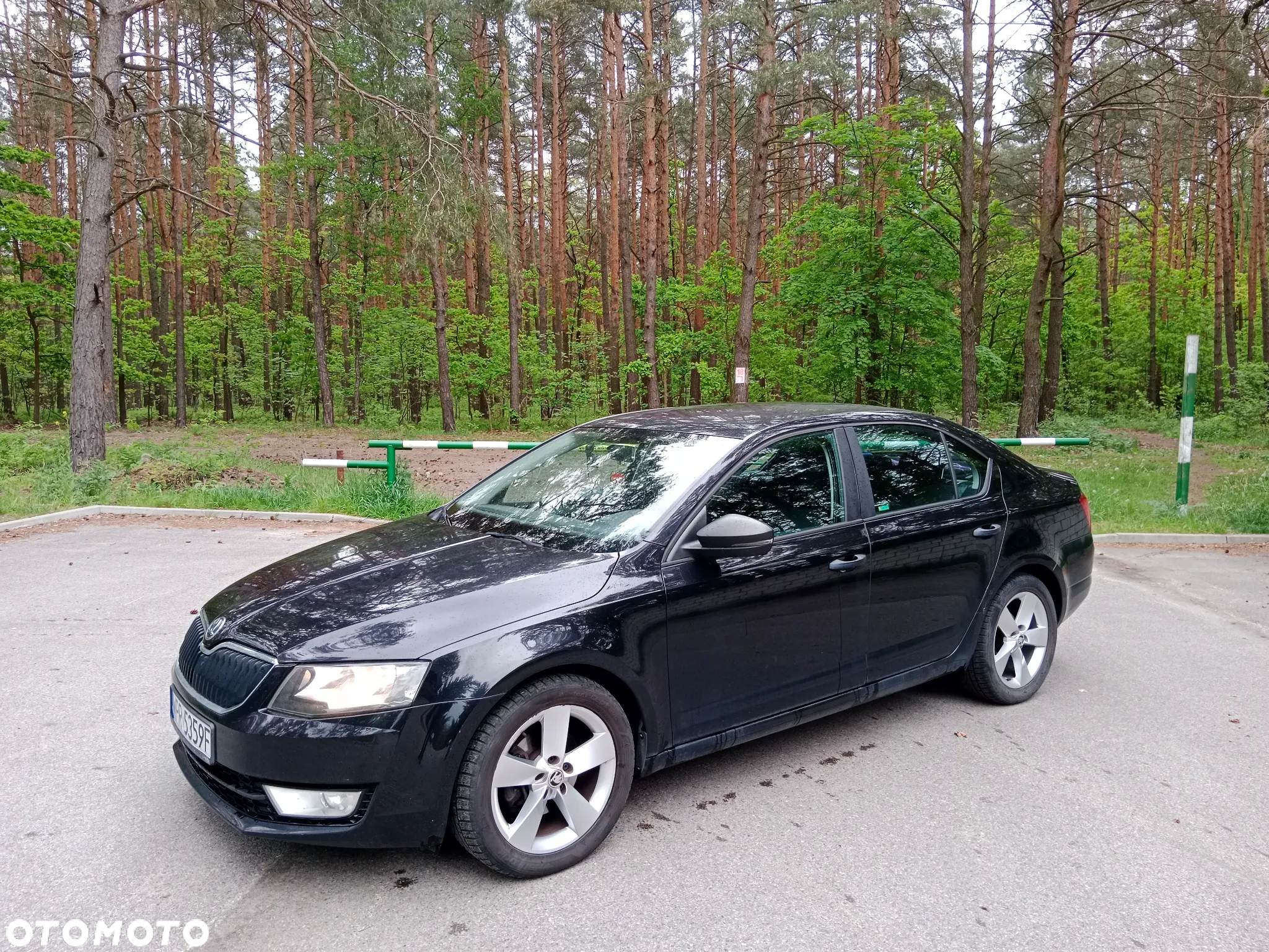 Skoda Octavia 1.2 TSI Active - 3