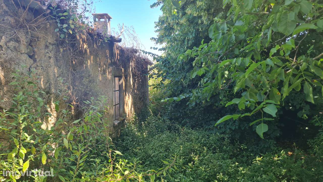 terreno e ruina sem telhado - Grande imagem: 5/16