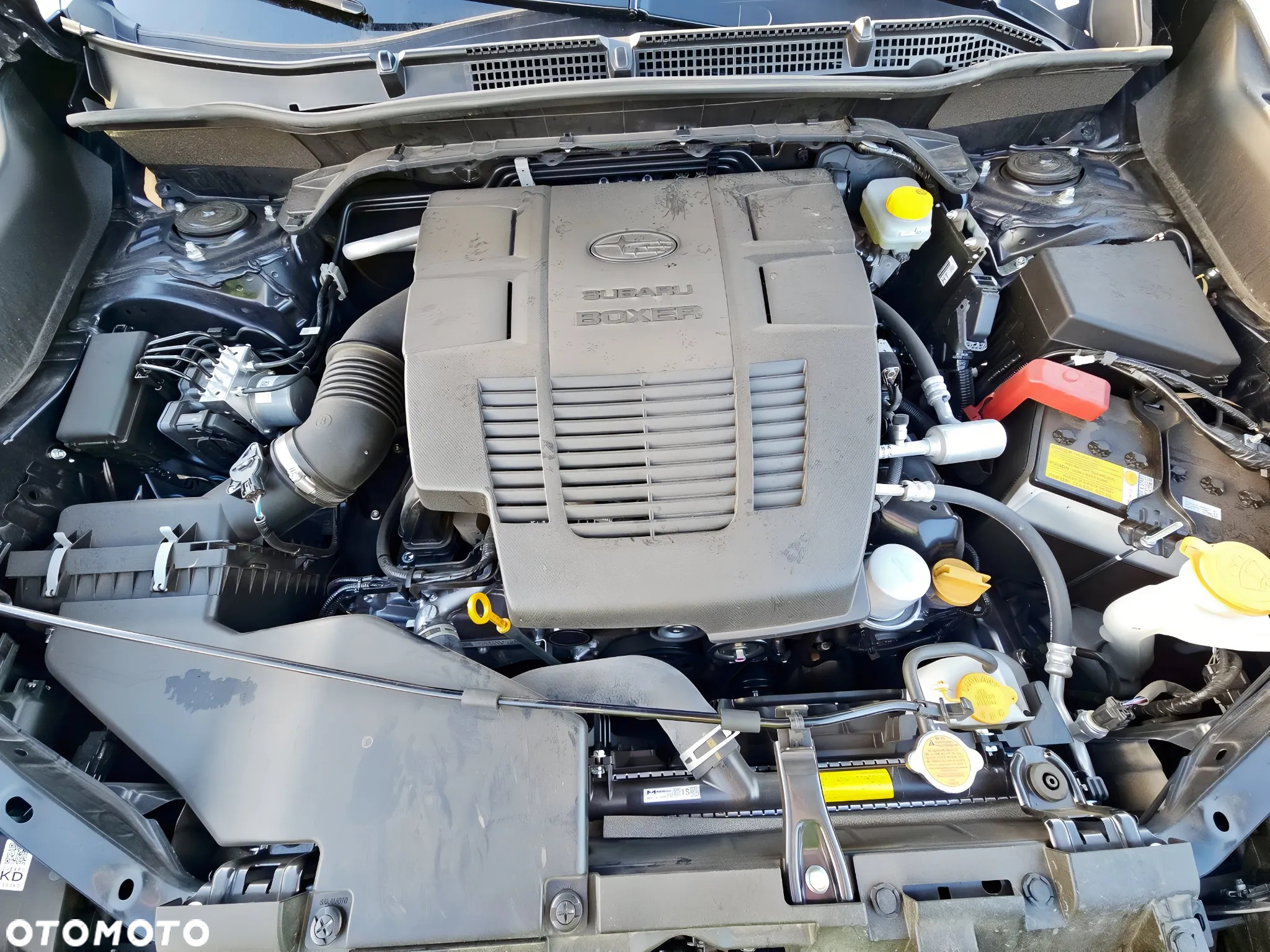 Subaru Forester - 14