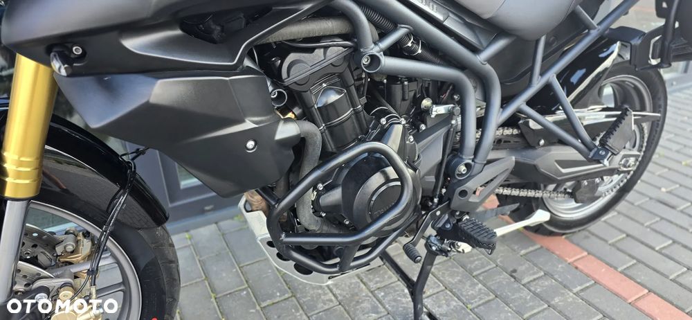 Triumph Tiger - 31