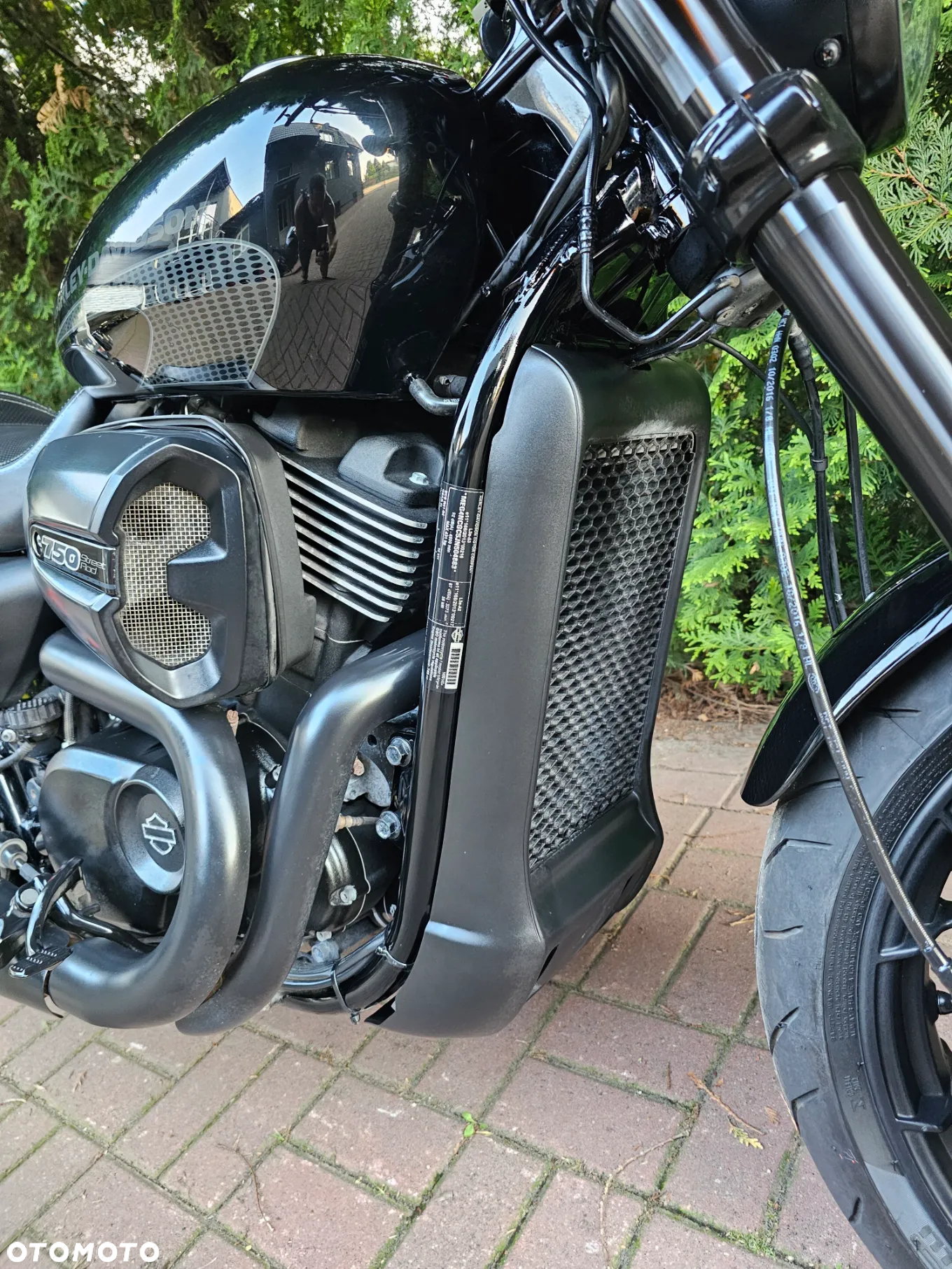 Harley-Davidson Street Rod XG 750A - 6
