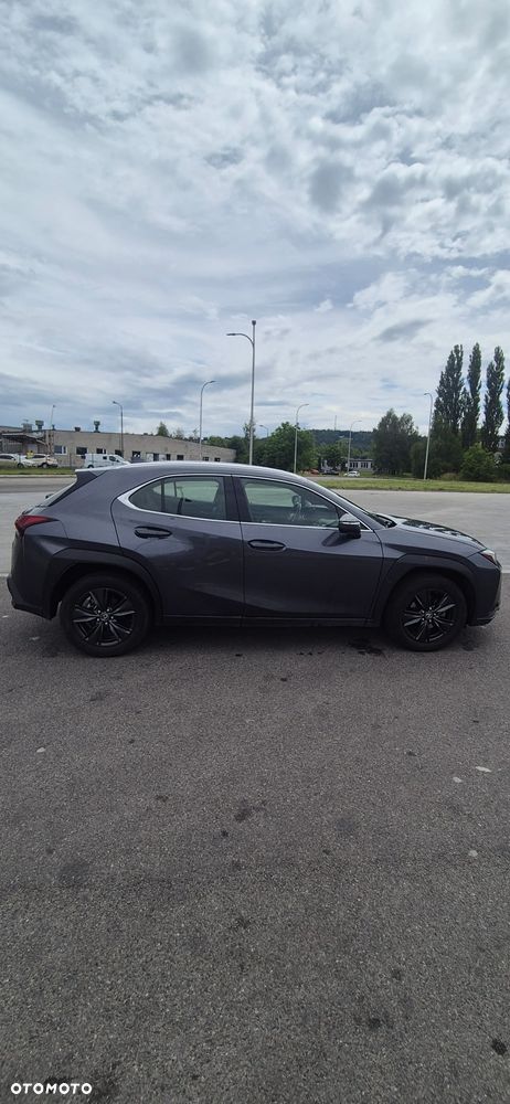 Lexus UX 250h - 6