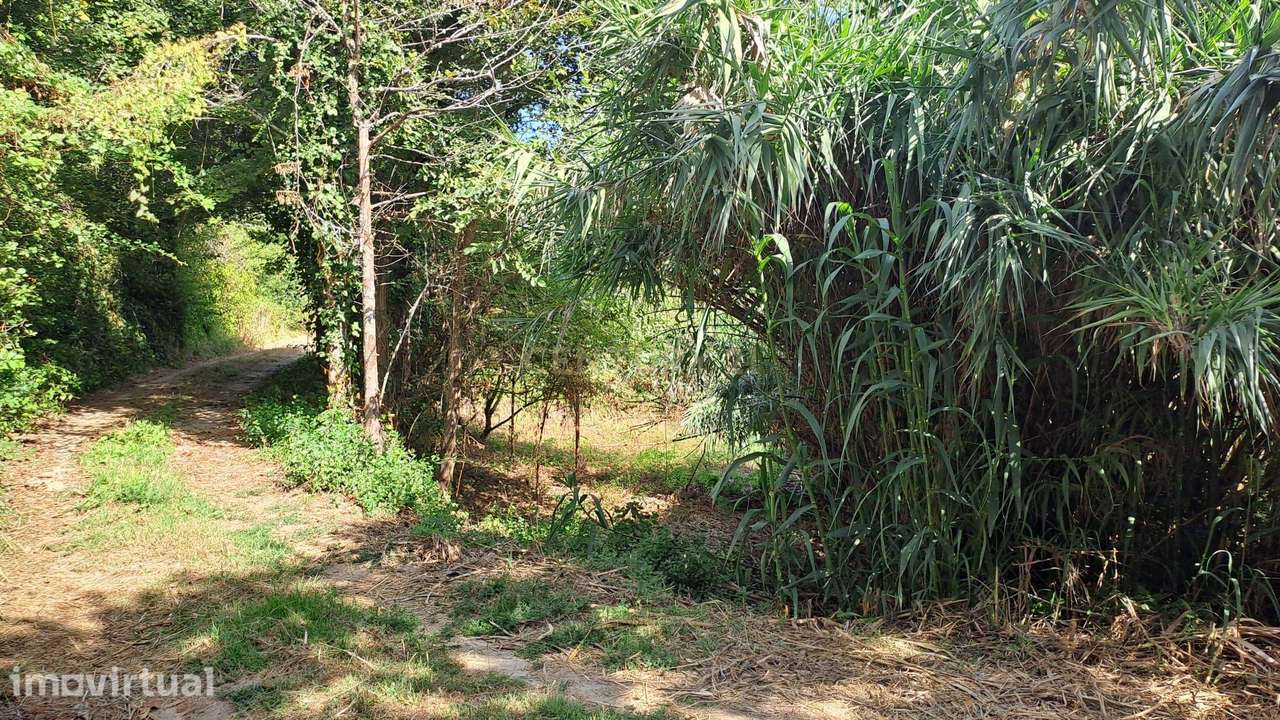 Terreno Agrícola - São João das Lampas - Grande imagem: 2/15