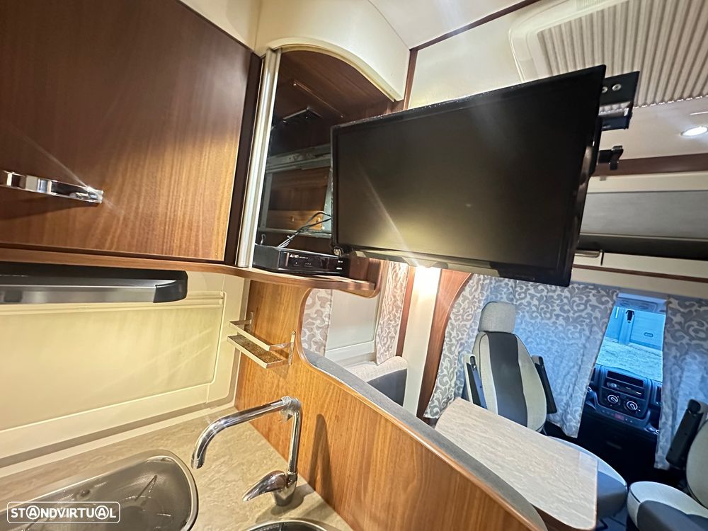 Fleurette Migrateur Mayflower 65LMX - 19