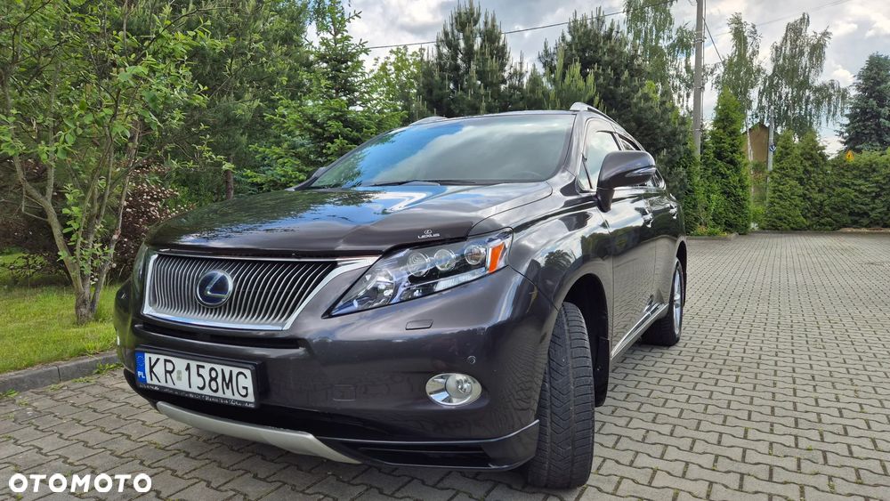 Lexus RX - 3