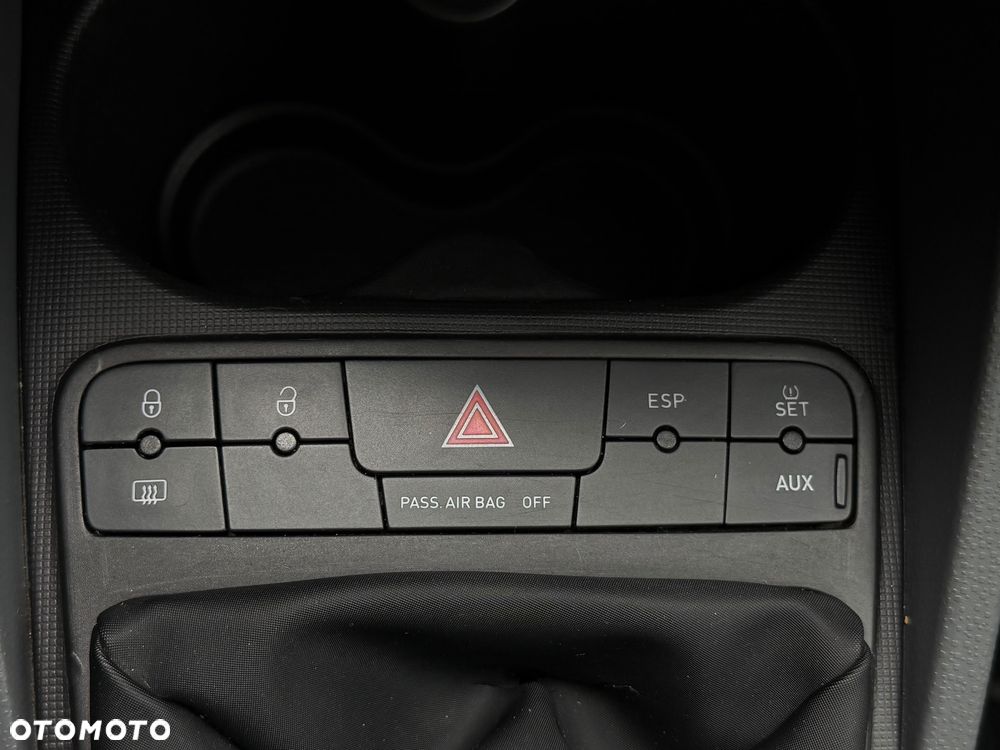 Seat Ibiza - 29